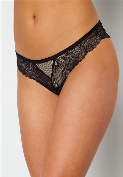 DORINA Vibrant Brief
