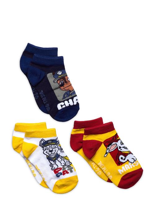 Socks Paw Patrol Patterned