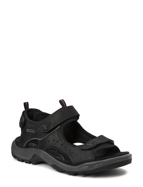 Offroad ECCO Black