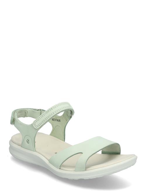 Cruise Ii ECCO Green