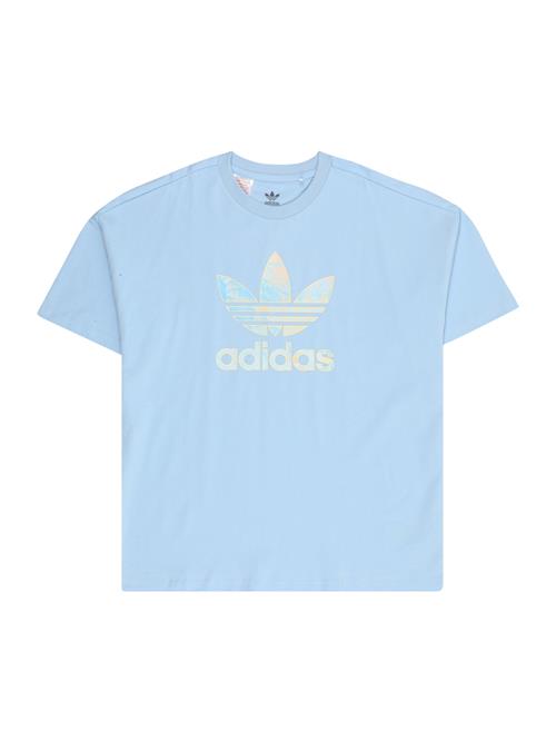 Se ADIDAS ORIGINALS Shirts  lyseblå / orange ved About You