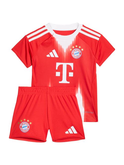 ADIDAS PERFORMANCE Sportsdragt  lyseblå / lysegul / brandrød / hvid