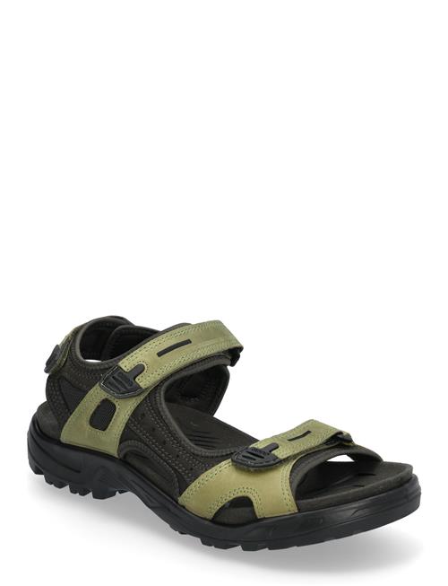 Offroad ECCO Green