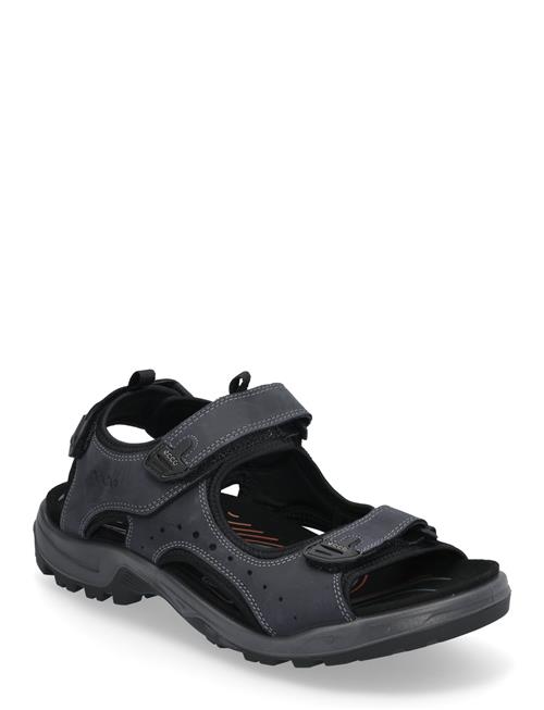 Offroad ECCO Navy