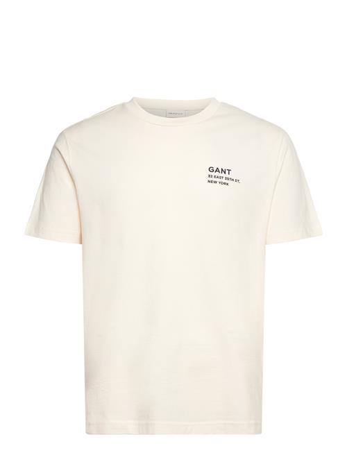 Small Graphic Ss T-Shirt GANT Cream