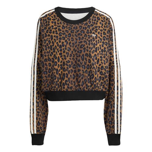 ADIDAS ORIGINALS Sweatshirt  cognac / sort / hvid