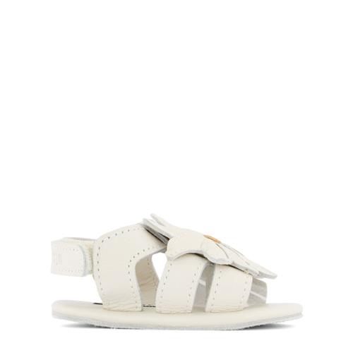 Donsje Amsterdam Tuti Fields Før-sko Skoer Violet 18-24 Months    18-24 måneder  Unisex