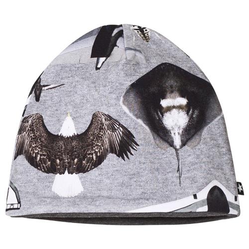 Molo Ned Baby Hat Planes and Birds 3-6 Months    3-6 måneder  mand