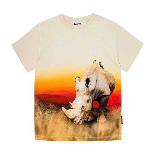 Molo GOTS Roxo T-shirt Rhino 104cm  Creme  104 cm  mand