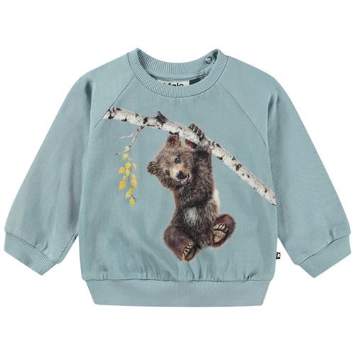 Molo GOTS Disc Sweatshirt Birch Tree Bear 74 cm  Blå  74 cm  Unisex