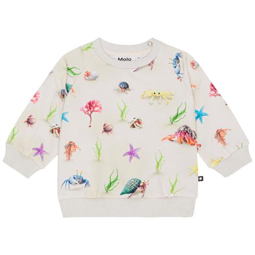Molo GOTS Disc Sweatshirt Hermit Crab 86 cm  Creme  86 cm  Unisex