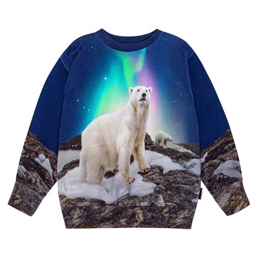 Molo GOTS Mattis Sweatshirt Polar Night 104cm  Marineblå  104 cm  mand