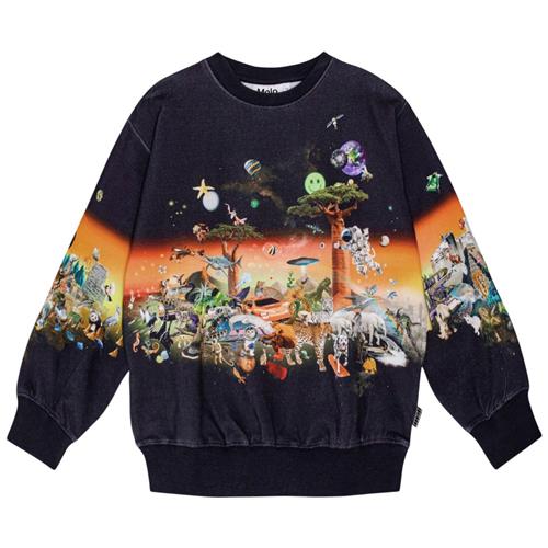Molo GOTS Monti Sweatshirt All Things 98 cm  Sort  98 cm  mand