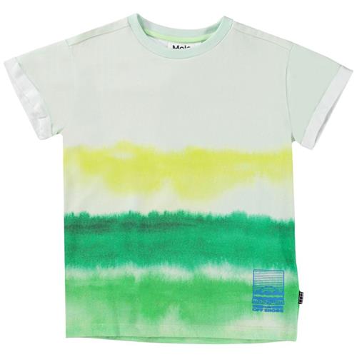 Molo GOTS Randon T-shirt Aqua Green 110 cm  Grøn  110 cm  mand