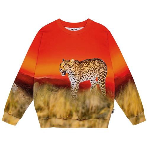 Molo GOTS Miksi Sweatshirt Red Sky Leopard 128 cm  Rød  128 cm  mand