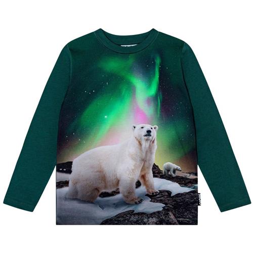 Molo GOTS Reif Langærmet T-shirt Polar Bear 92 cm  Grøn  92 cm  mand