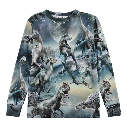 Molo GOTS Rill Langærmet T-shirt Dinoverse 128 cm  Grå  128 cm  mand