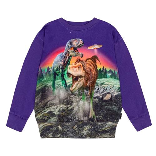Molo GOTS Mattis Sweatshirt Dino Play 152 cm  Lilla  152 cm  mand