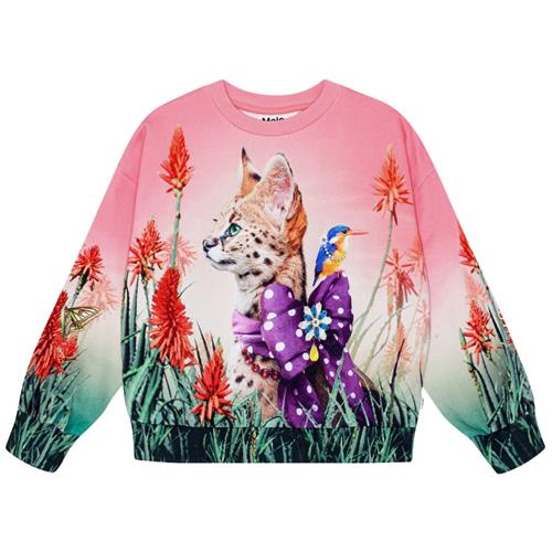 Molo GOTS Maxi Sweatshirt Fancy Cat 92 cm  Lyserød  92 cm  kvinde