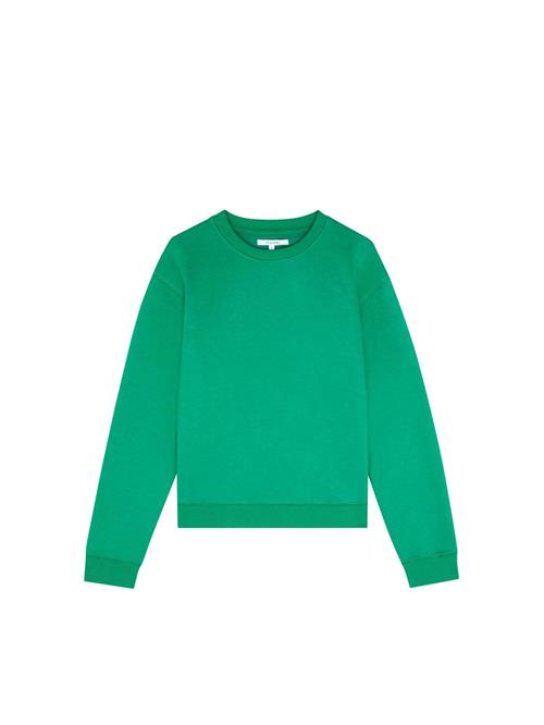 Scalpers Sweatshirt  grøn
