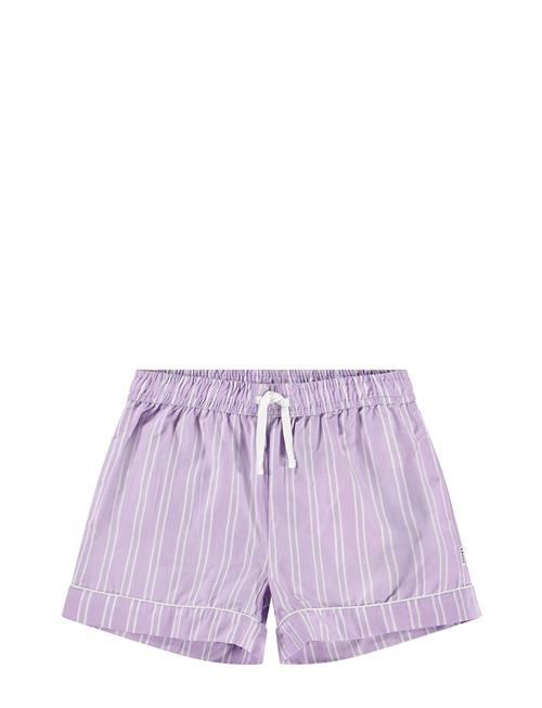 Aja Molo Purple