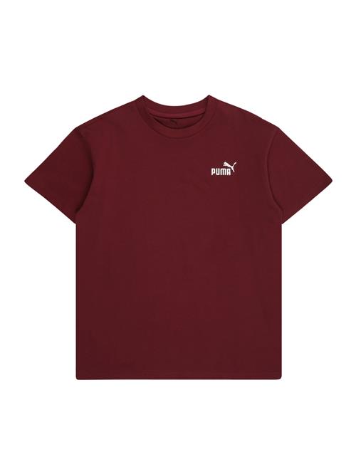 PUMA Shirts 'Ess No. 1'  carminrød