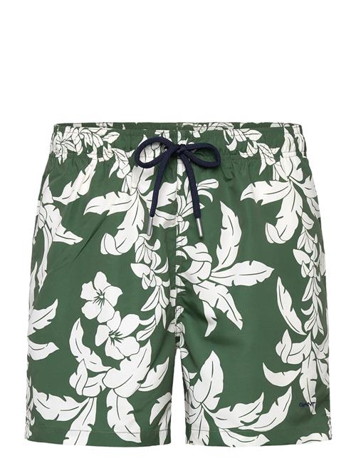 Se Palm Lei Print Swim Shorts GANT Green ved Booztlet