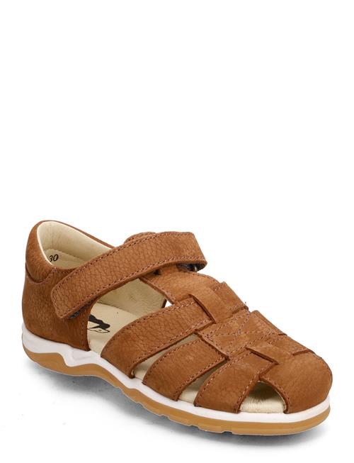 Hand Made Sandal Arauto RAP Brown