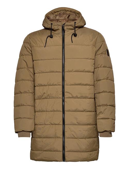 Marogan Nl Matinique Brown