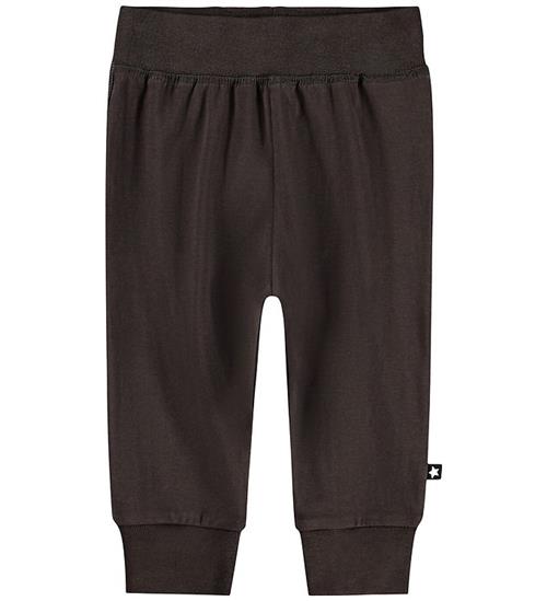 Molo Sweatpants - Sammy - Dark Cocoa