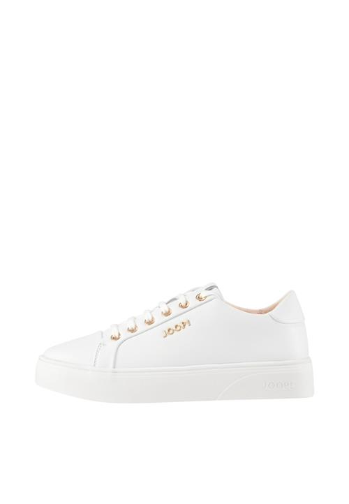JOOP! Sneaker low 'Tinta New Daphne'  guld / hvid