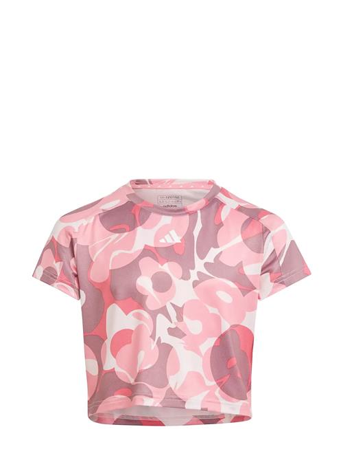 Jg Tr-Es Aop T Adidas Sportswear Pink