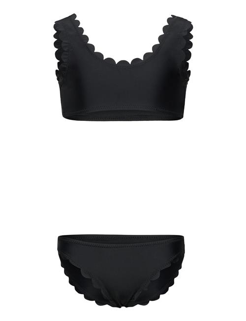 Nolina Molo Black