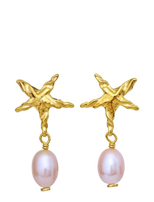 Sandie Earrings Maanesten Gold