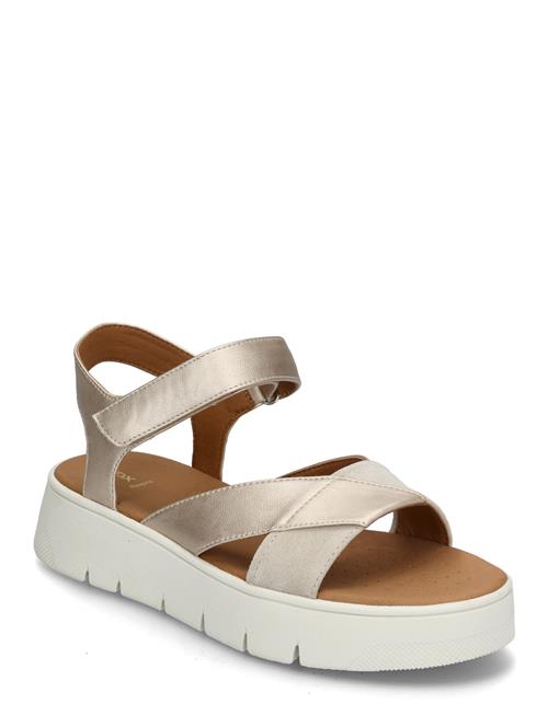 D Dandra 40 B GEOX Beige