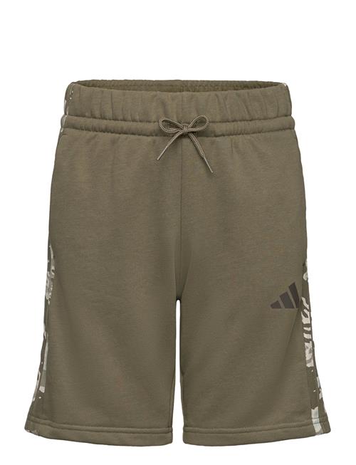 J Camo Short Adidas Sportswear Khaki