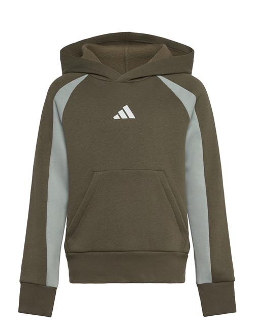 J Cb Fl Hd Adidas Sportswear Green