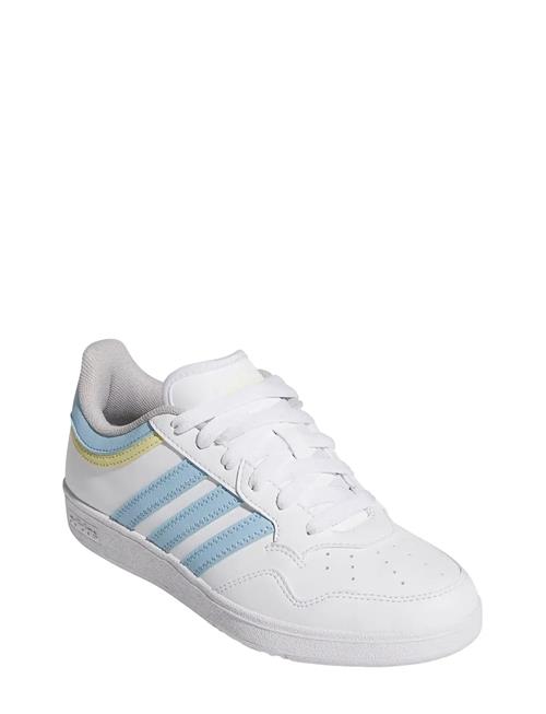 Hoops 4.0 J Adidas Sportswear White