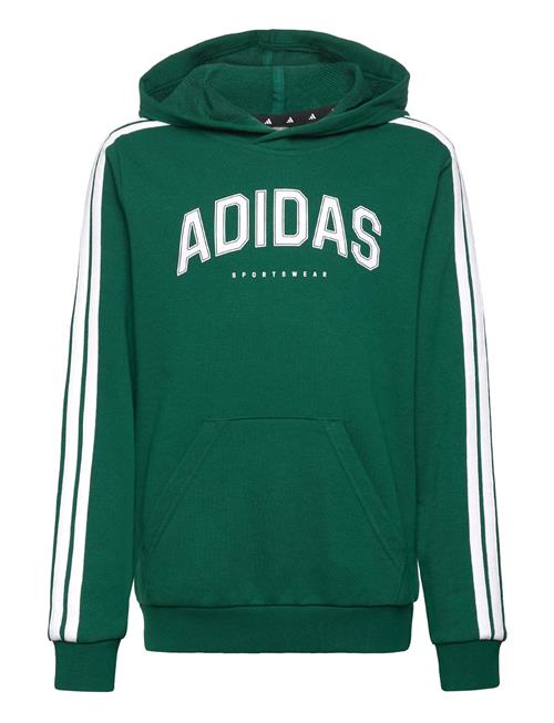 J C Colleg Hd Adidas Sportswear Green