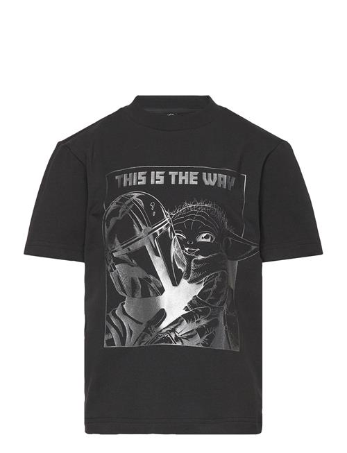 J Sw Mndo Gfx T Adidas Sportswear Black