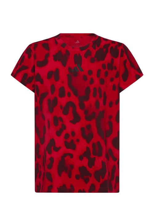 Jg Fi Aop T Adidas Sportswear Red