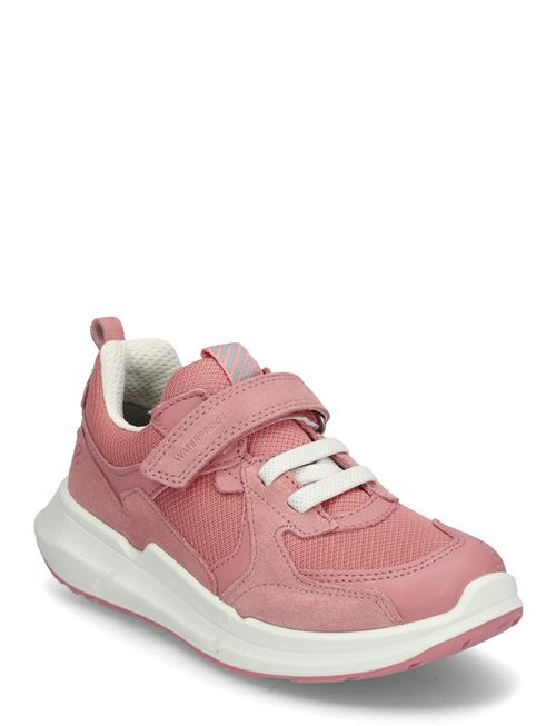 Biom 2.2 K ECCO Pink