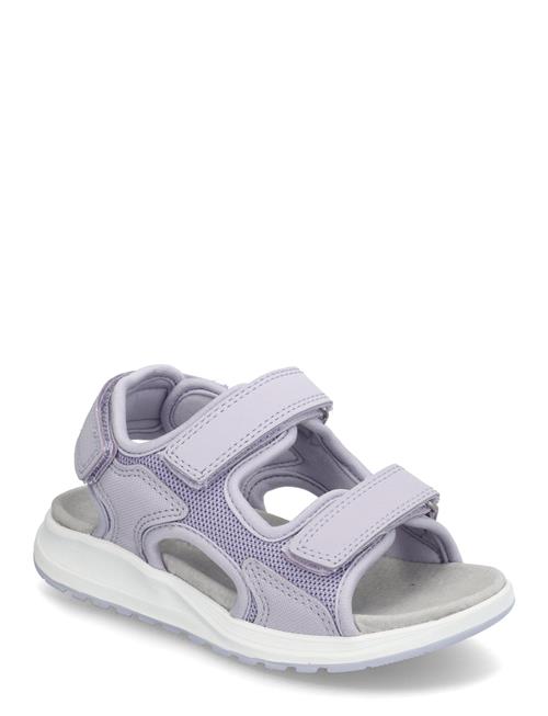 Anchor Sandal 3V Viking Purple