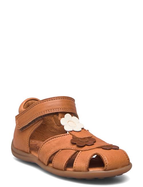 Bisgaard Oline Bisgaard Brown