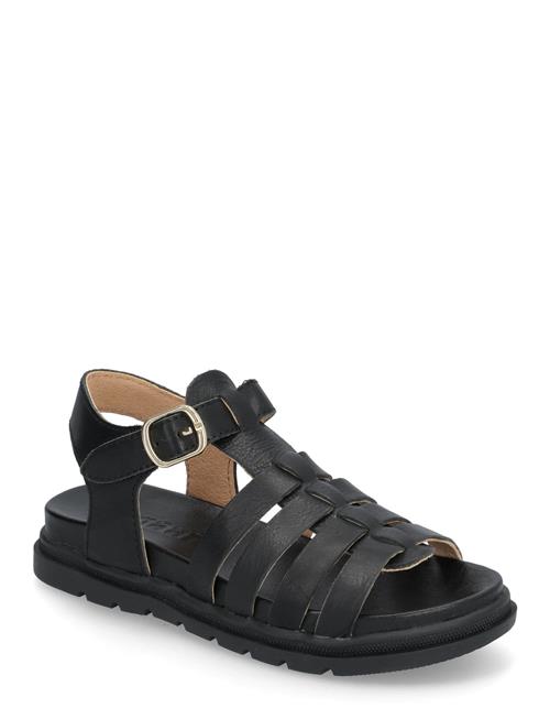 Bisgaard Bera Bisgaard Black