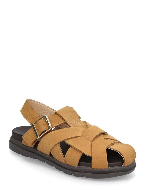 Bisgaard Arda Bisgaard Brown