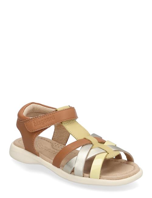Bisgaard Sim Bisgaard Brown