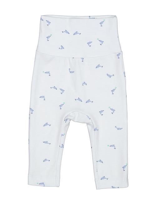 Piva MarMar Copenhagen Blue