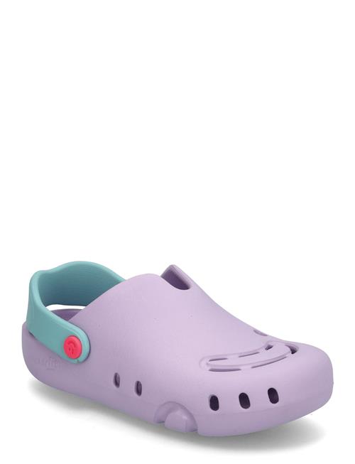 Splash C Superfit Purple