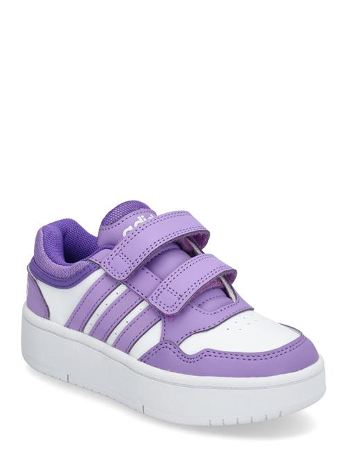 Hoops 3.0 Bold Cf C Adidas Sportswear Purple